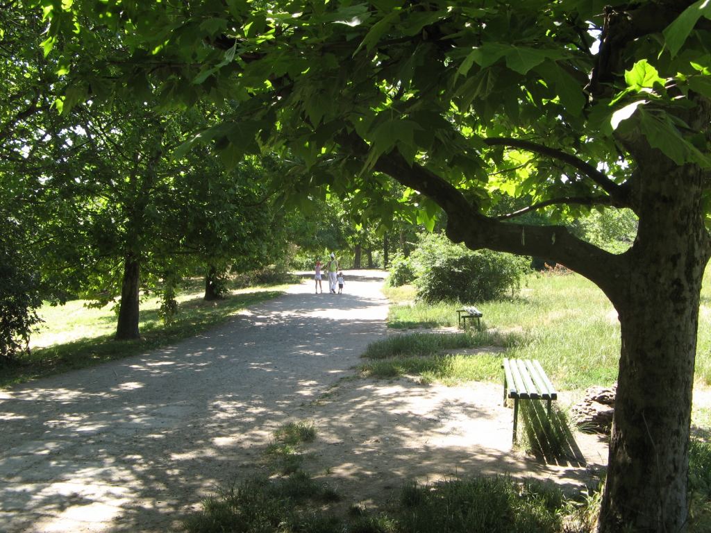 Фото 39 - Весенний парк Победы