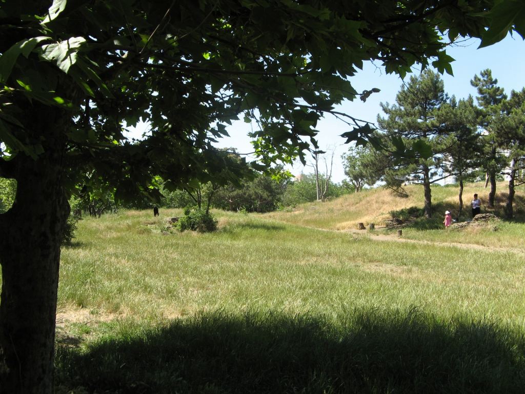 Фото 40 - Весенний парк Победы