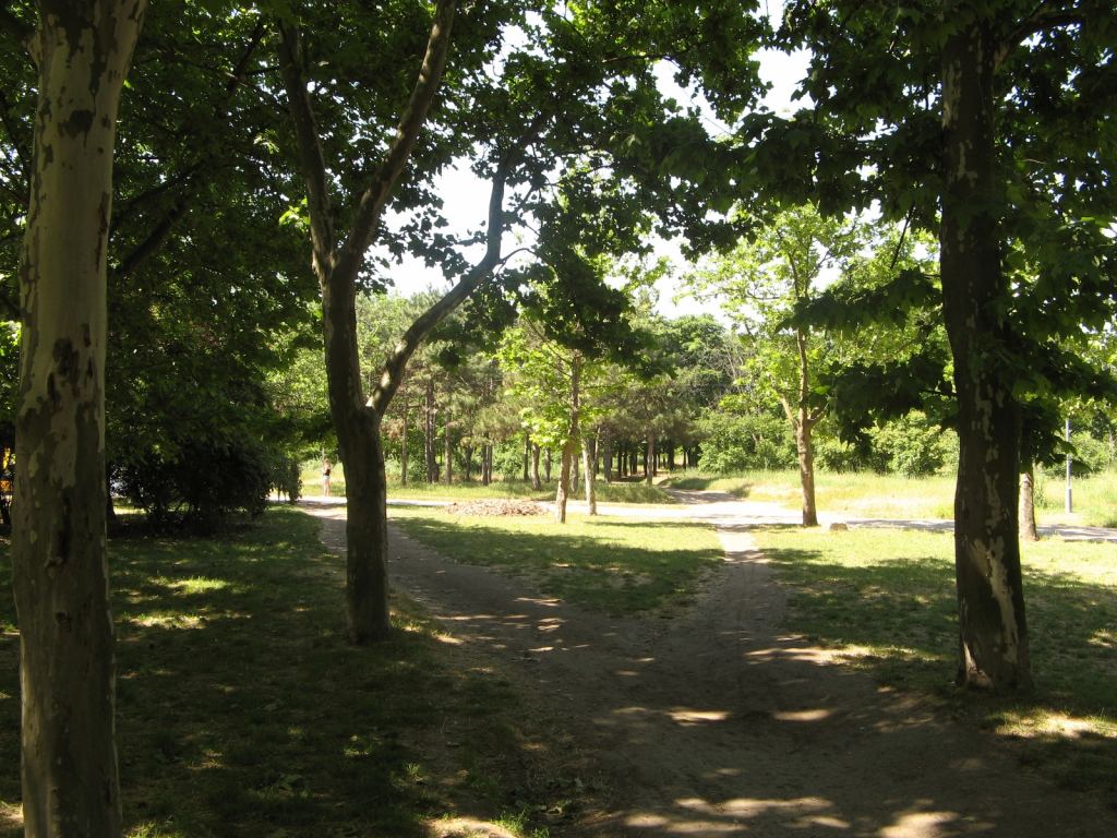 Фото 42 - Весенний парк Победы