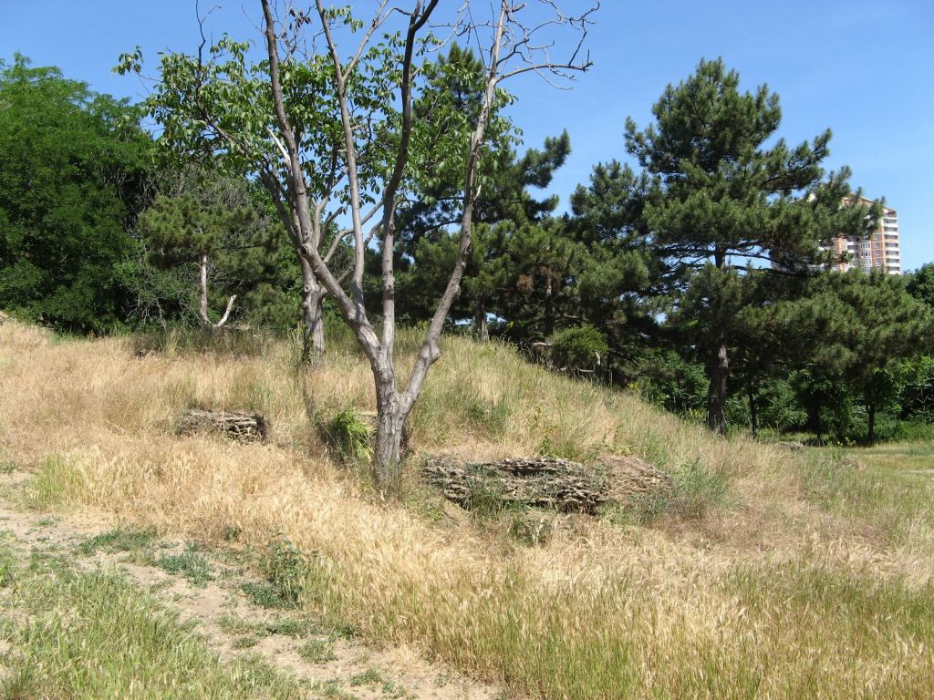 Фото 43 - Весенний парк Победы