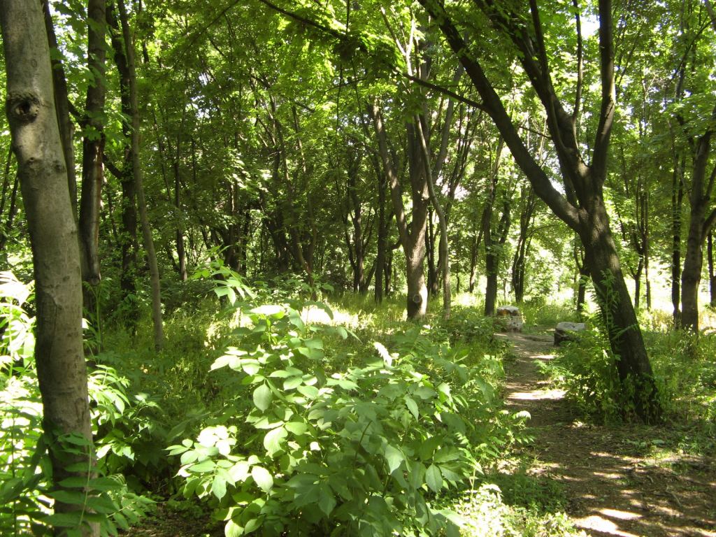 Фото 45 - Весенний парк Победы