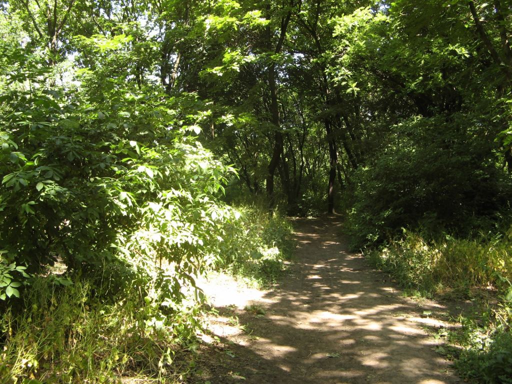 Фото 46 - Весенний парк Победы