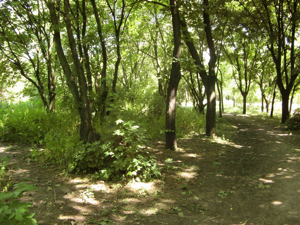 Фото 47 - Весенний парк Победы