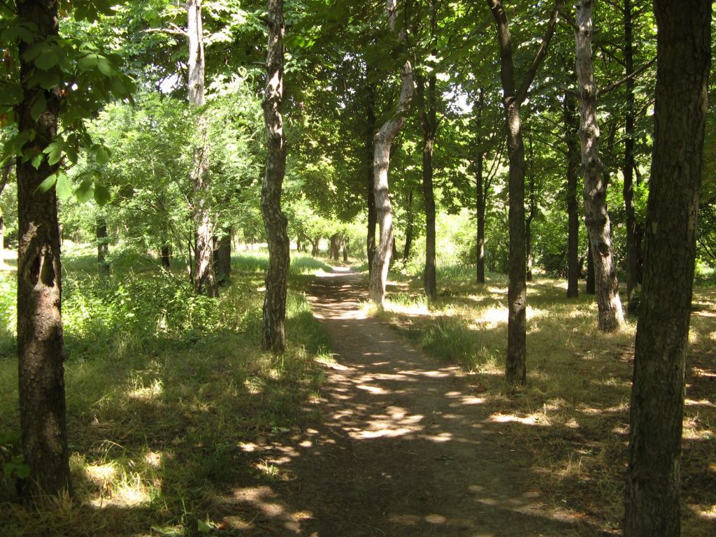 Фото 48 - Весенний парк Победы