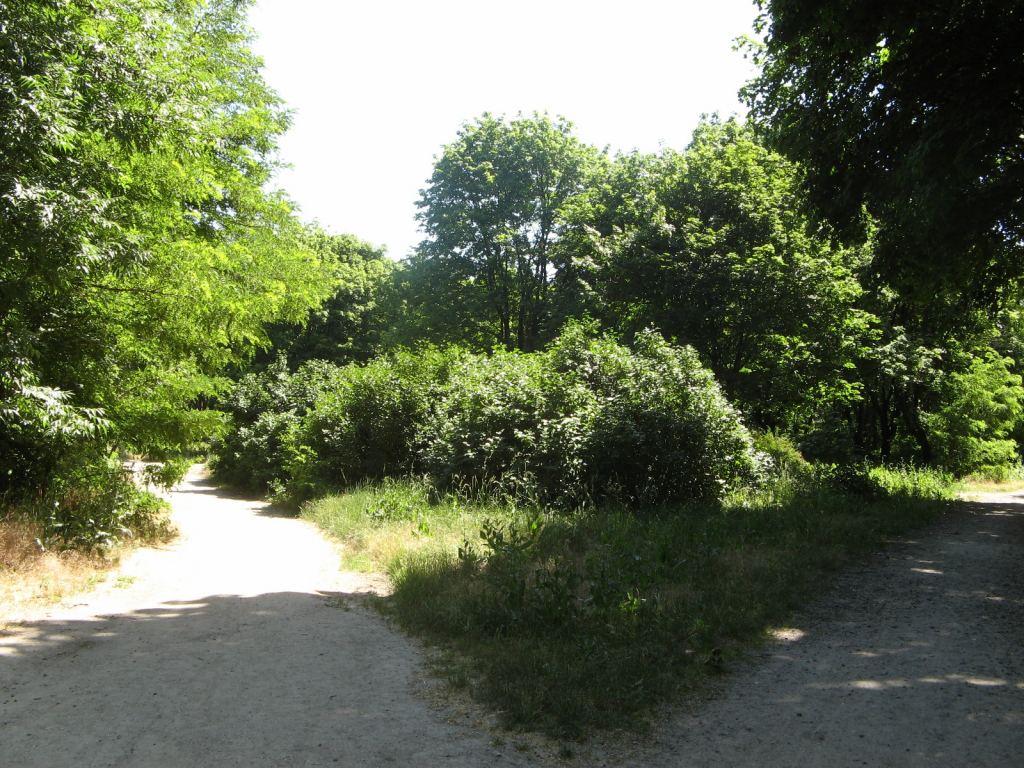 Фото 49 - Весенний парк Победы