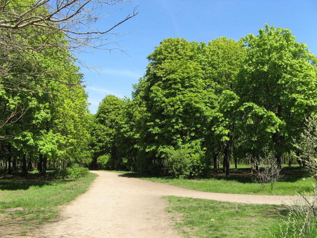 Фото 53 - Весенний парк Победы