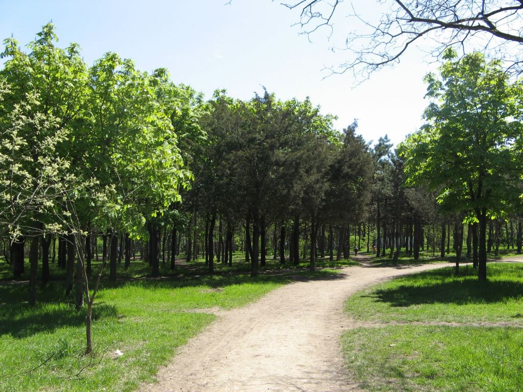 Фото 55 - Весенний парк Победы