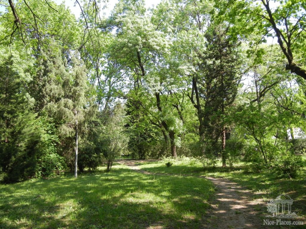 Фото 4 - Одесский Ботанический сад весной