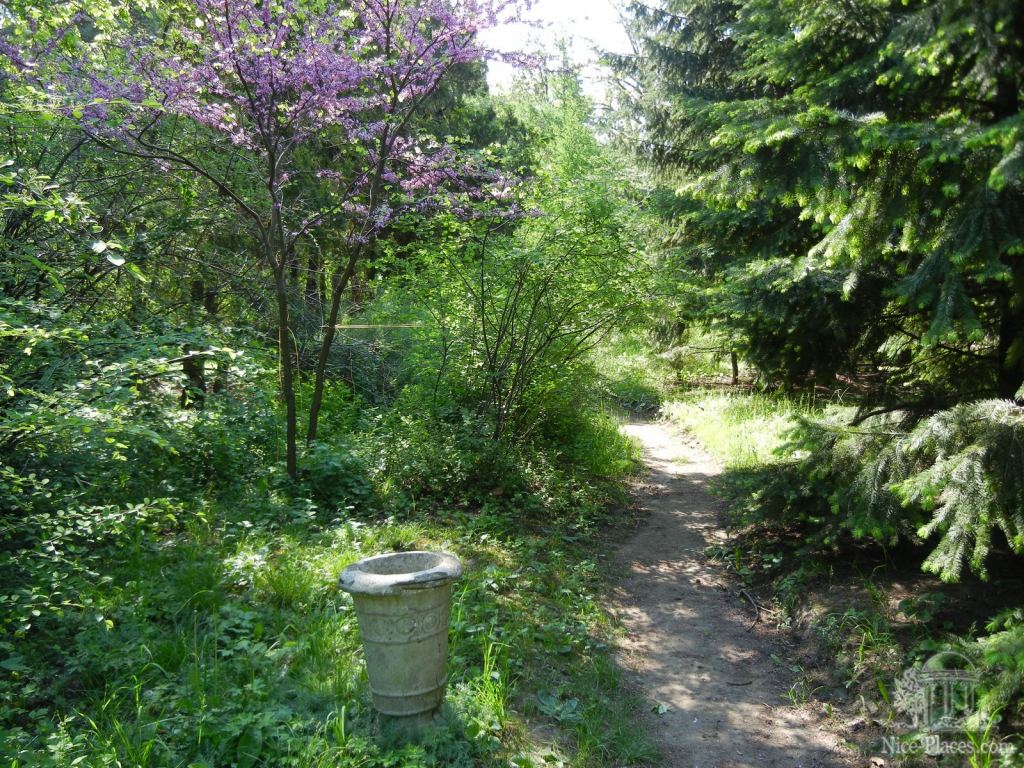 Фото 8 - Одесский Ботанический сад весной