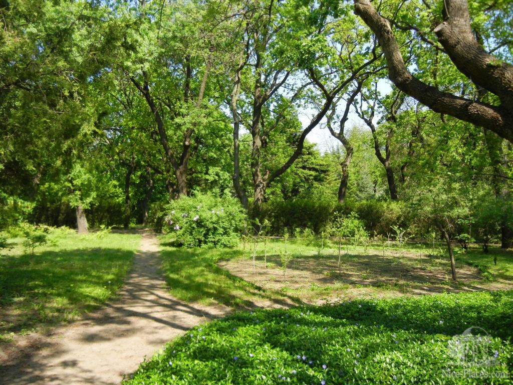 Фото 12 - Одесский Ботанический сад весной