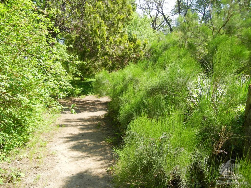 Фото 14 - Одесский Ботанический сад весной