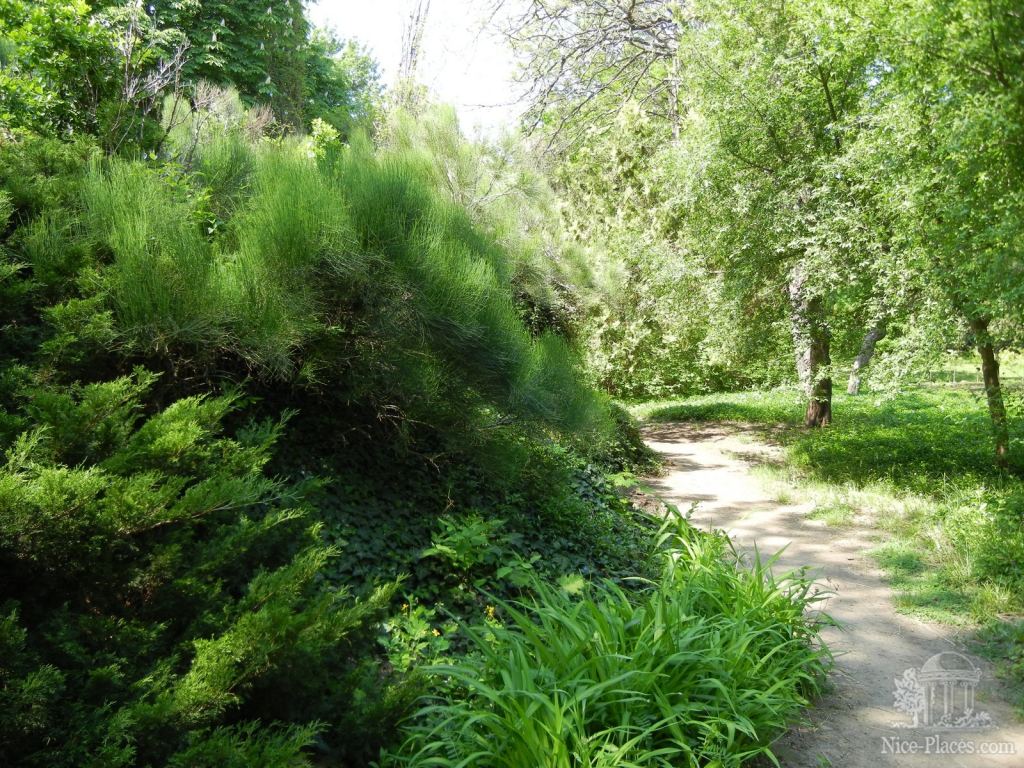 Фото 18 - Одесский Ботанический сад весной