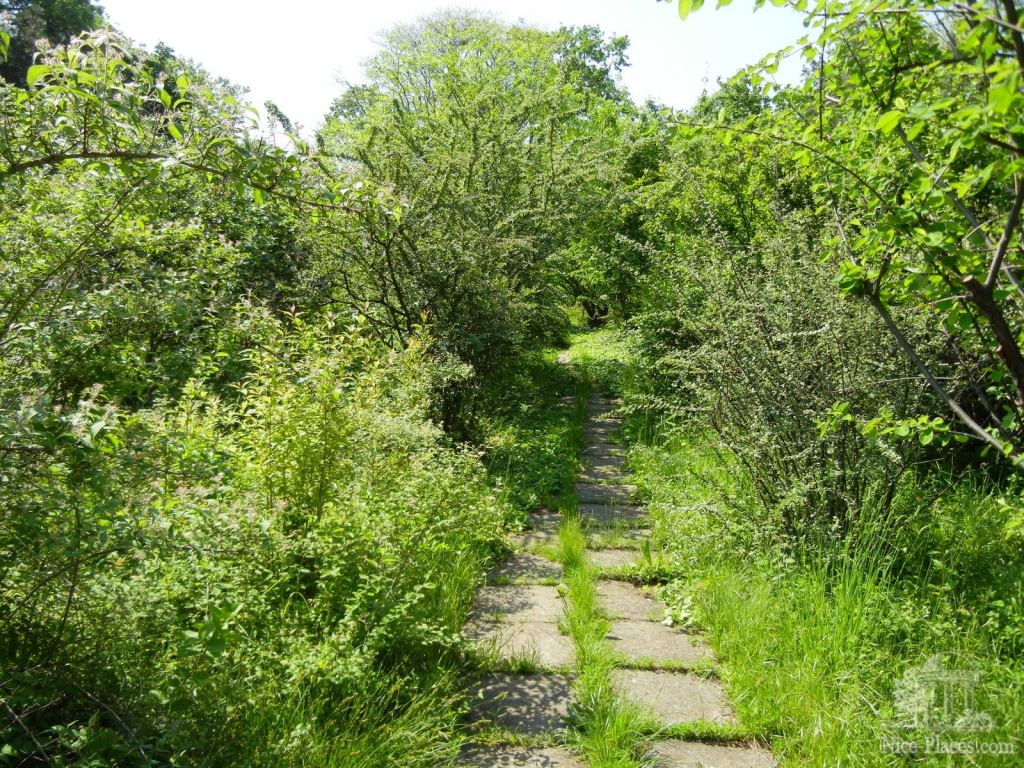 Дорожки - Одесский Ботанический сад весной