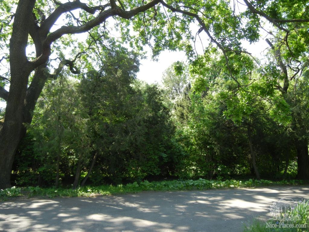 Фото 42 - Одесский Ботанический сад весной