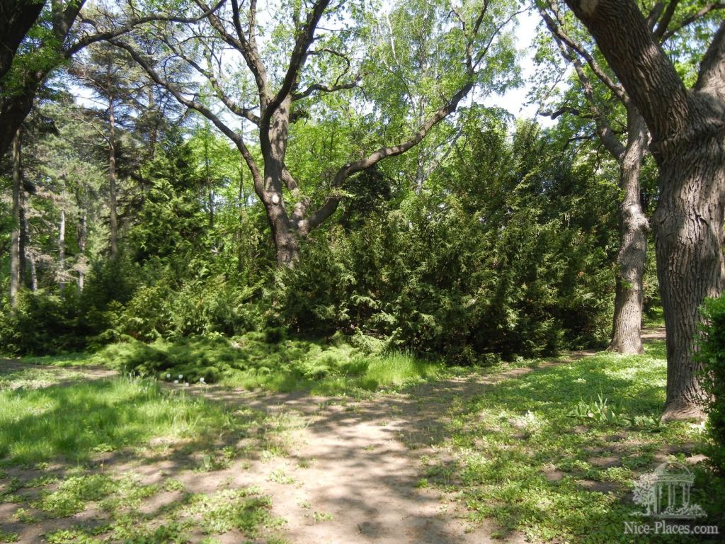 Фото 49 - Одесский Ботанический сад весной