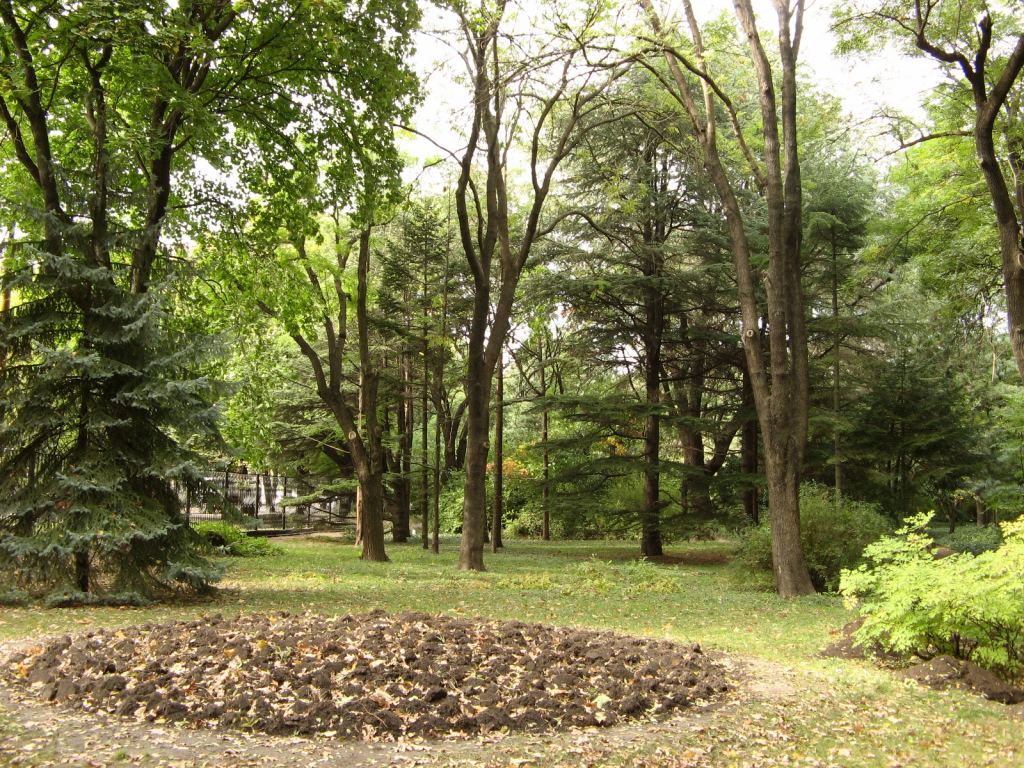 Почти все клумбы уже подготовлены к зиме - Одесский Ботанический сад осенью