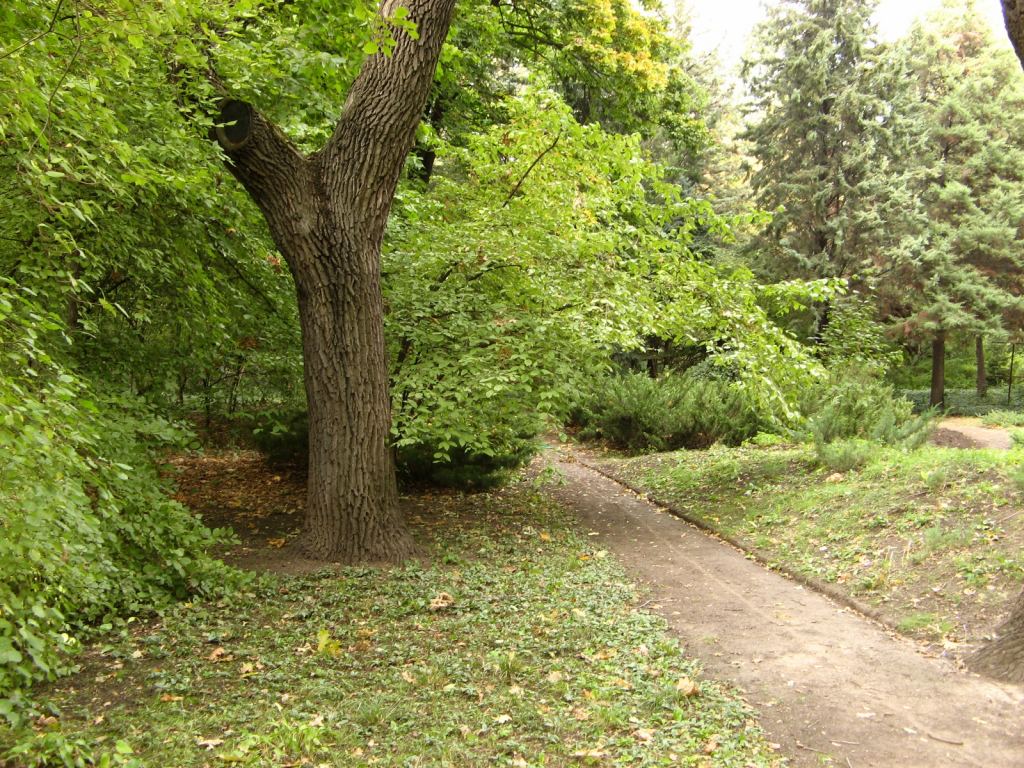 Еще один вид на тропу - Одесский Ботанический сад осенью