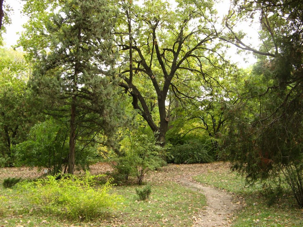 Осень пока еще не золотая, но тоже очень красиво - Одесский Ботанический сад осенью