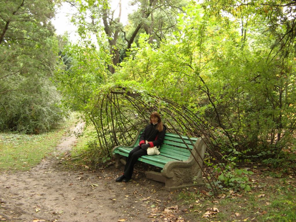 Лавочка с живым зонтиком от солнца - Одесский Ботанический сад осенью