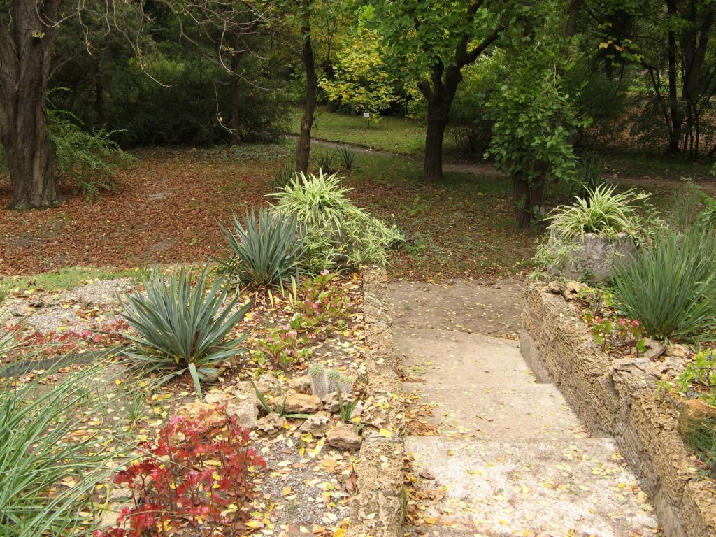 Ступеньки, ведущие в центр клумбы - Одесский Ботанический сад осенью