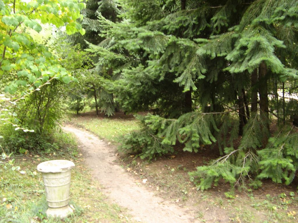 Фото 22 - Одесский Ботанический сад осенью