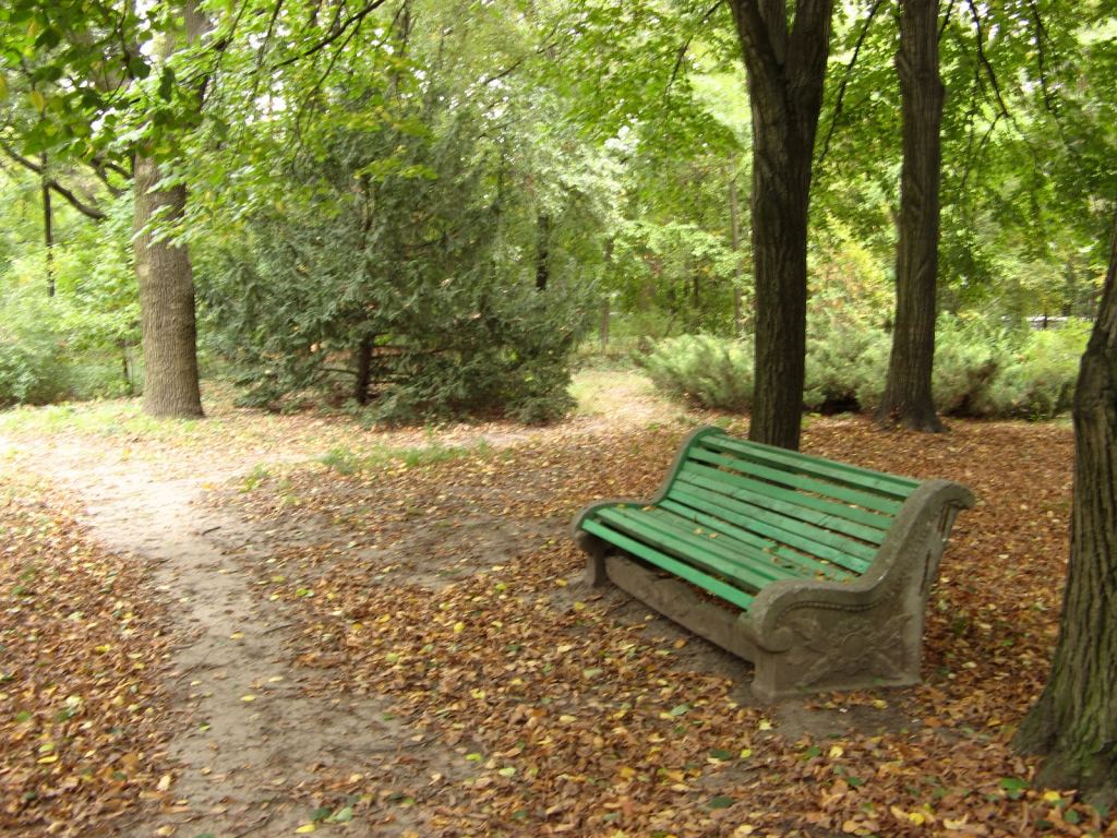 Много лавочек, и совсем не было людей. Может быть просто такой день выдался - Одесский Ботанический сад осенью