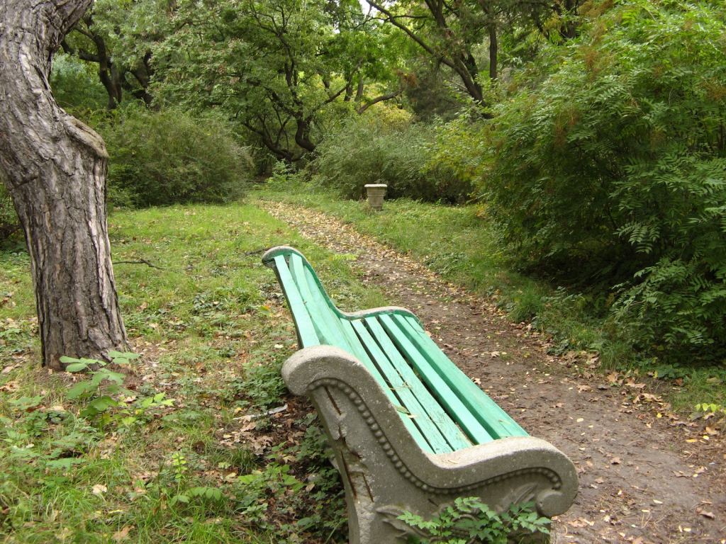 Скамейки старенькие, но целые - Одесский Ботанический сад осенью