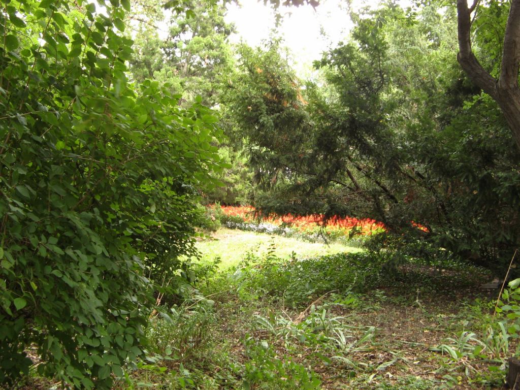 Территория возле домика - Одесский Ботанический сад осенью