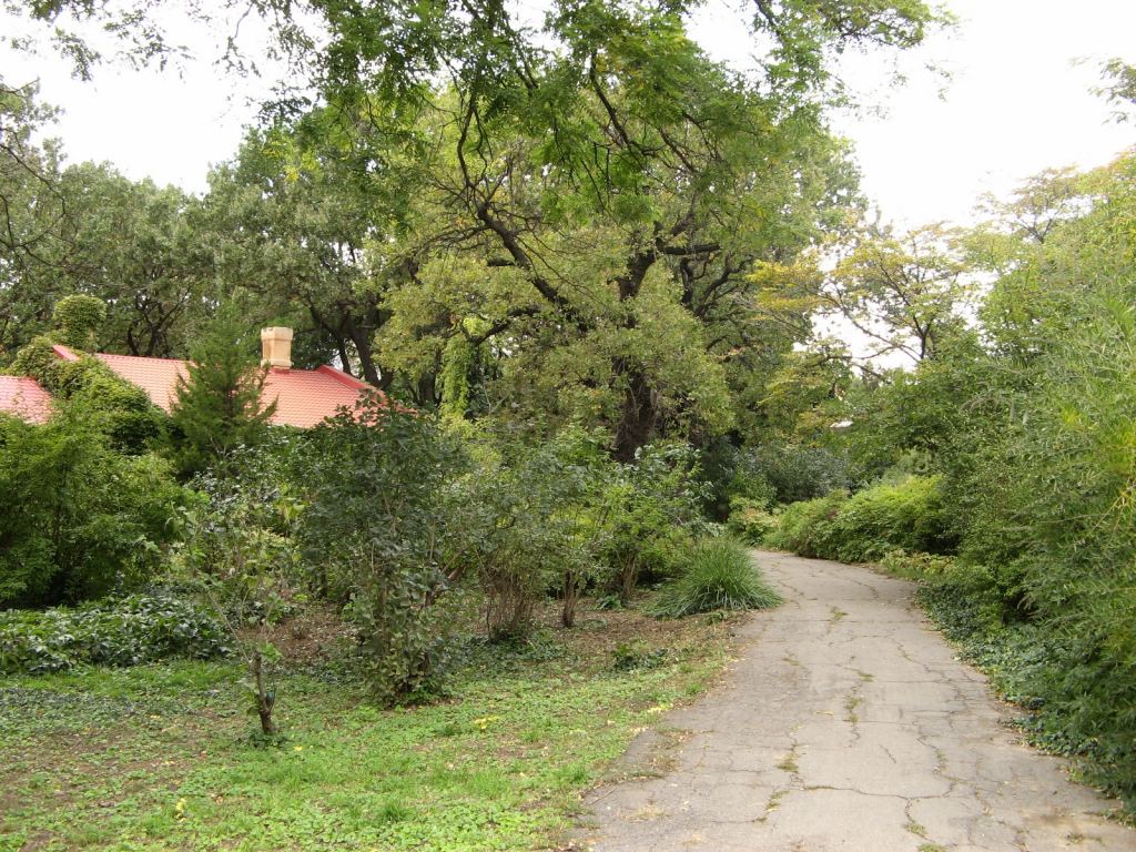 Фото 47 - Одесский Ботанический сад осенью