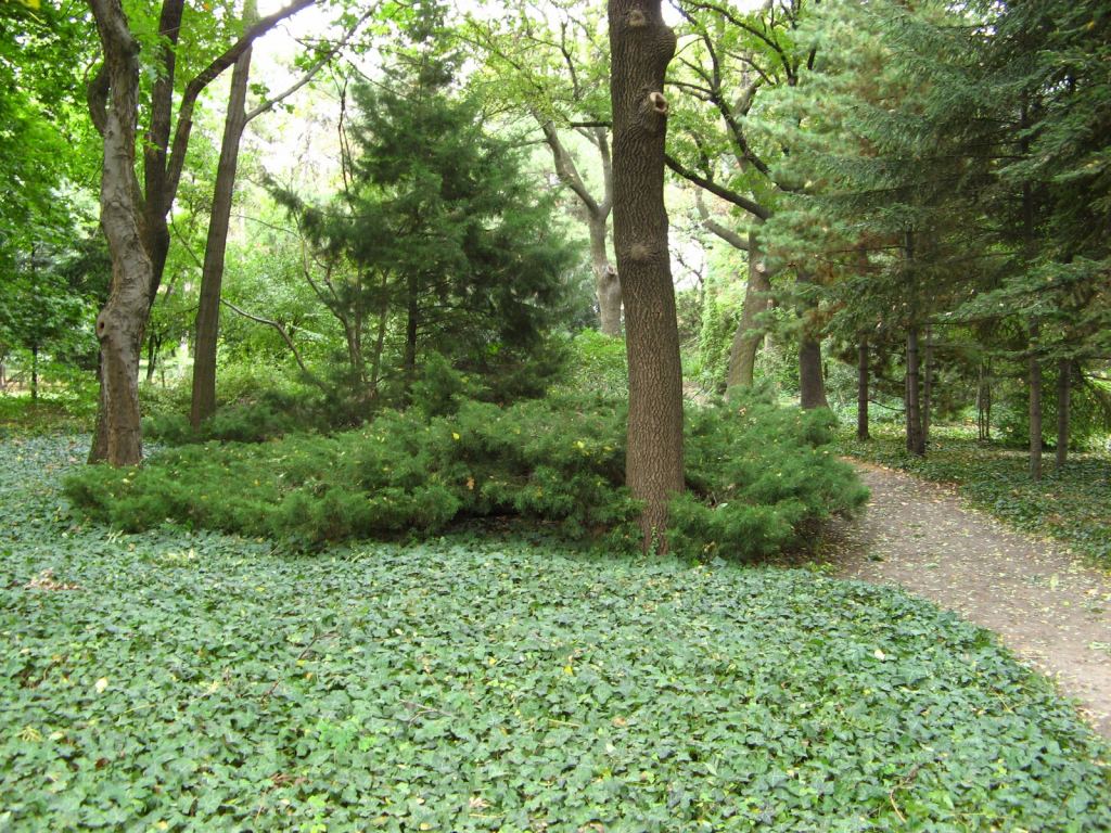 Фото 61 - Одесский Ботанический сад осенью