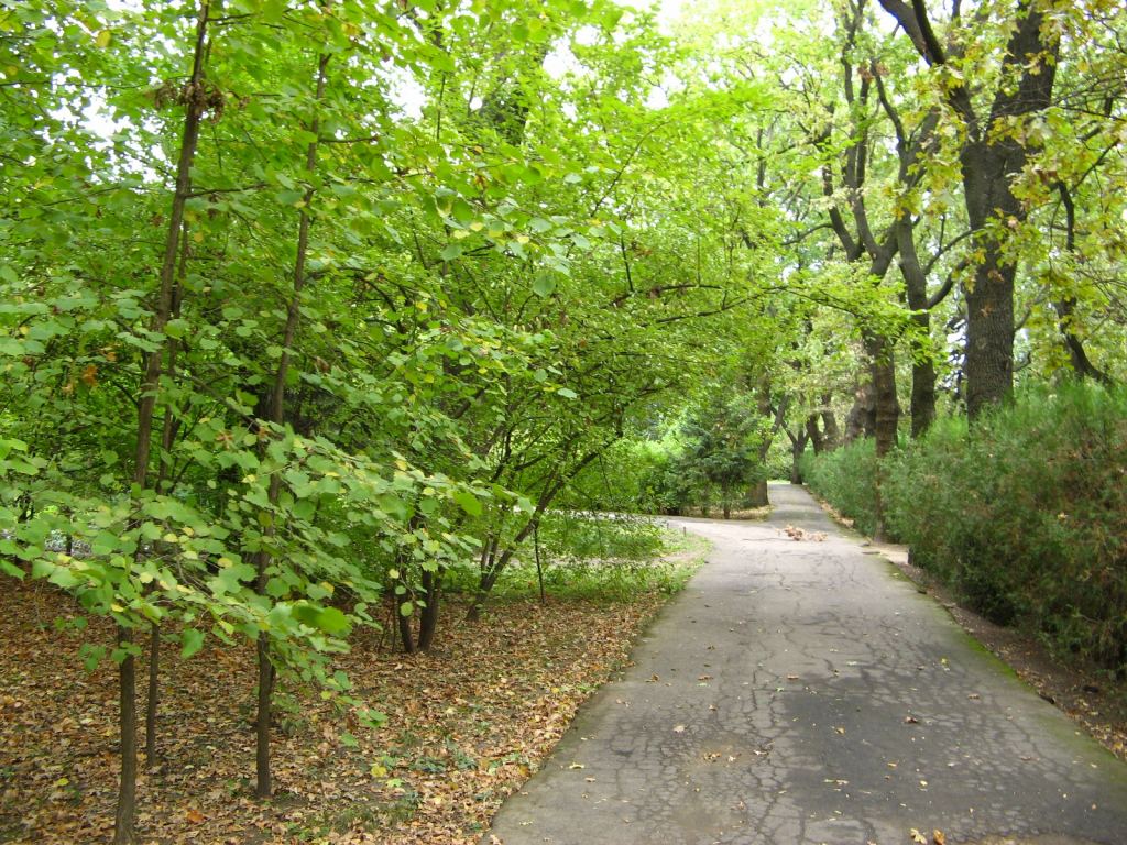 Фото 63 - Одесский Ботанический сад осенью