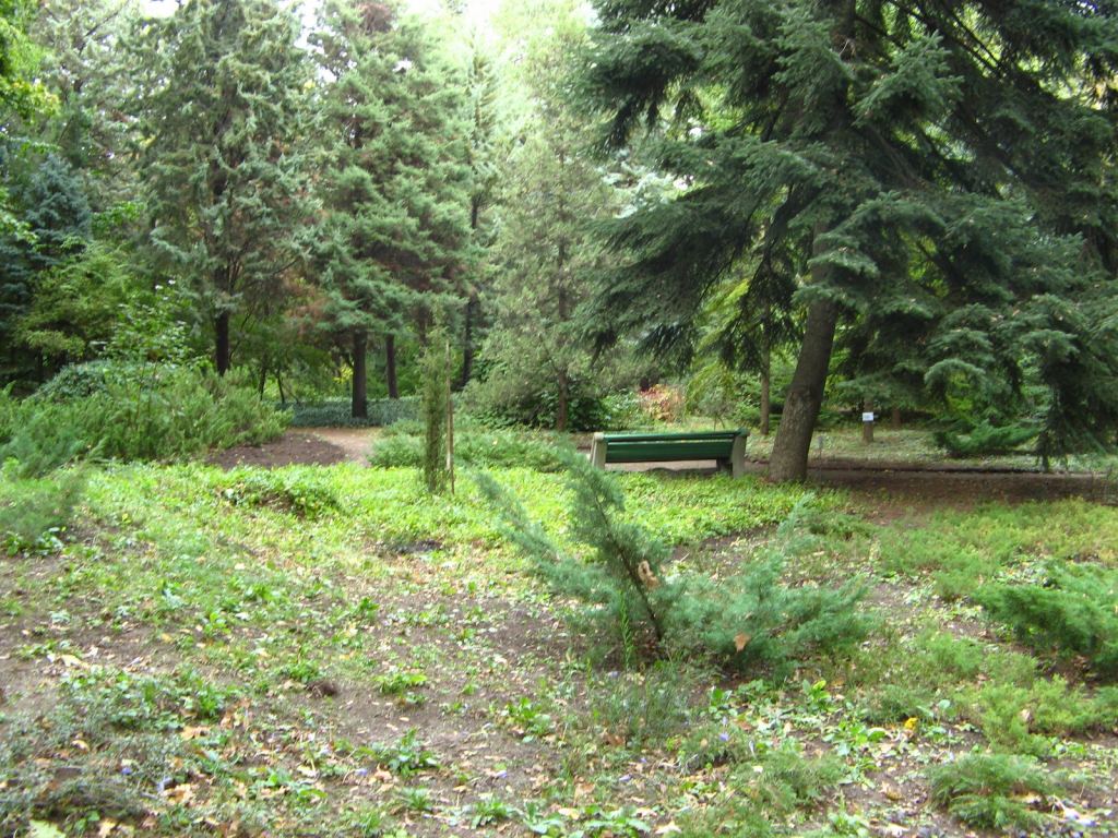 Фото 64 - Одесский Ботанический сад осенью