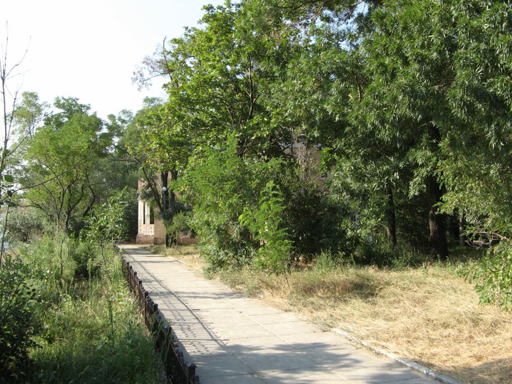 Аллея с видом на море в сан. им. Горького - Парки в санаториях Одессы