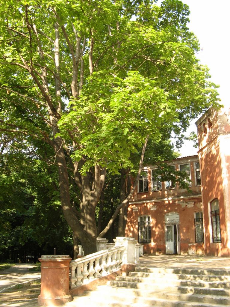 Один из корпусов санатория Горького - Парки в санаториях Одессы