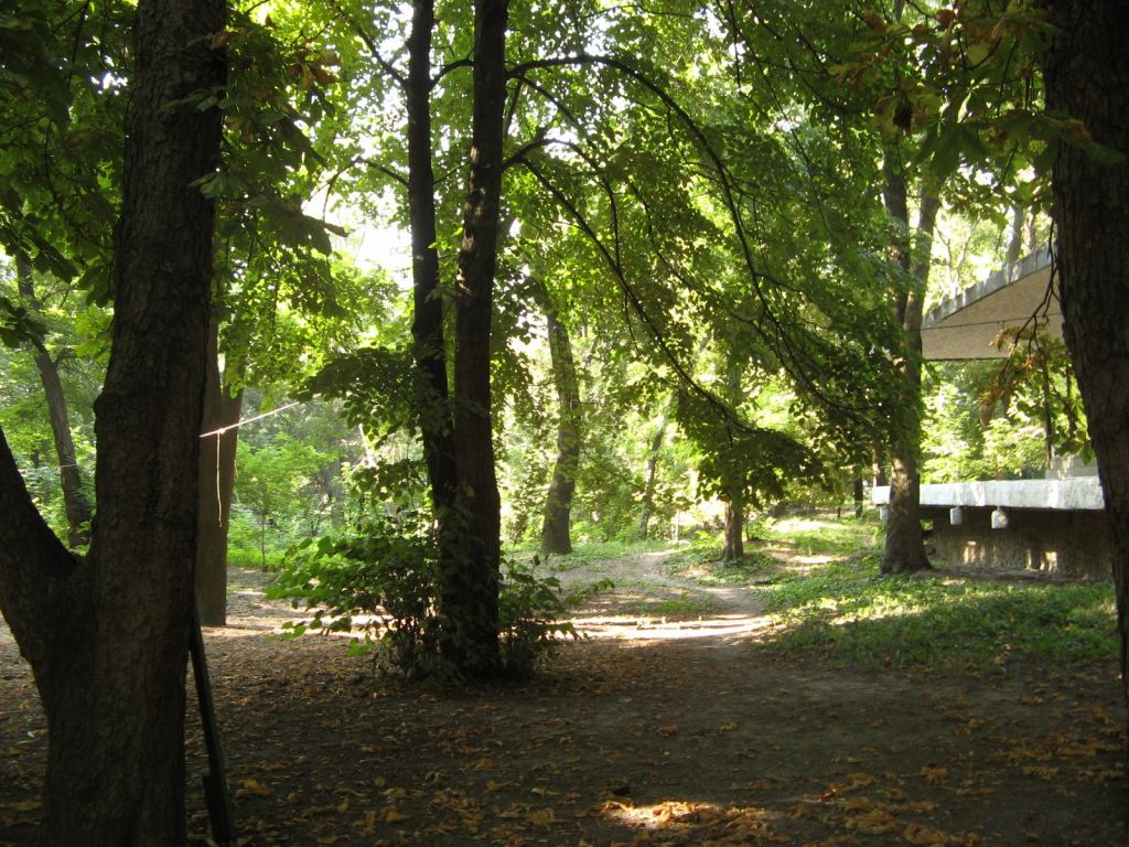 Фото 8 - Парки в санаториях Одессы