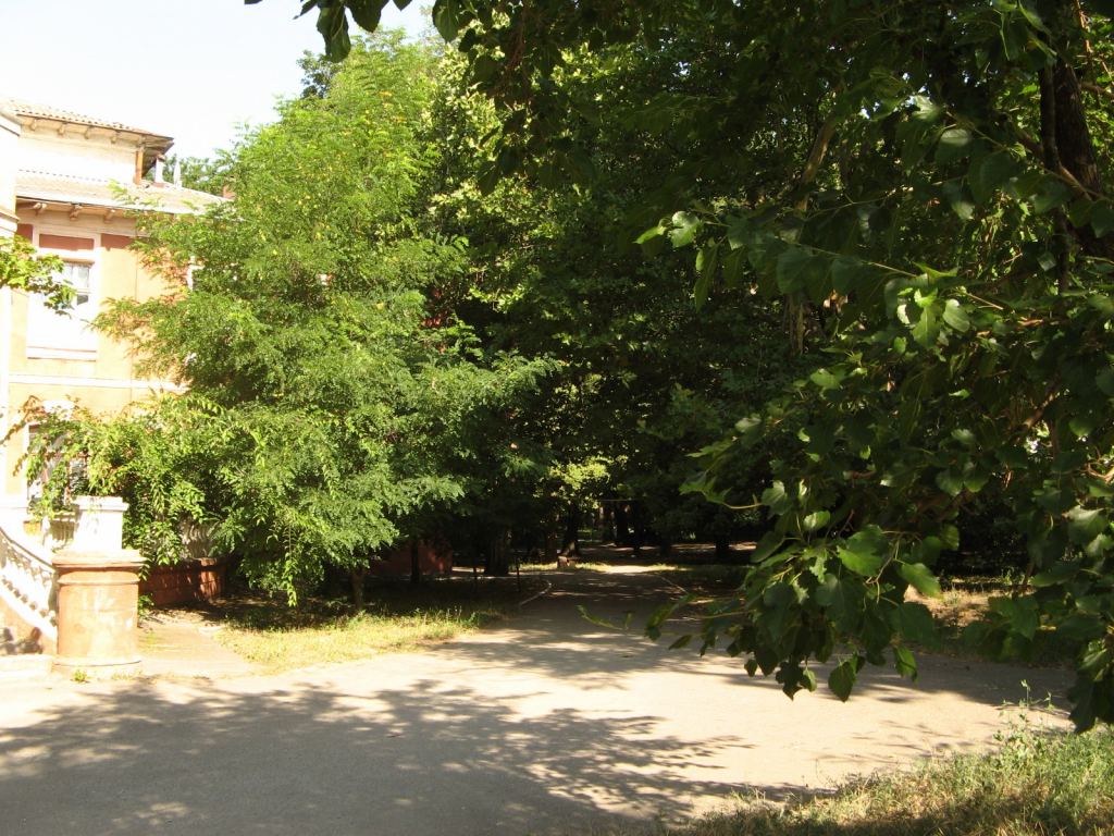 В тени прячется парк - Парки в санаториях Одессы