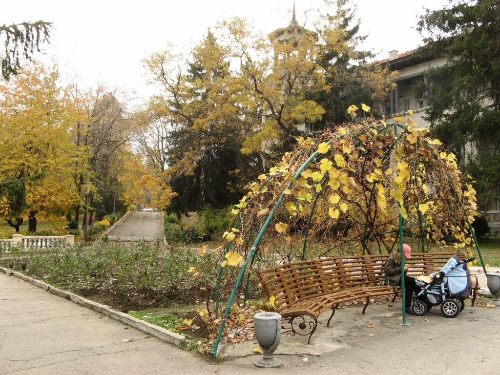Санаторий Молдова. Скамейки-беседки у главного входа - Парки в санаториях Одессы