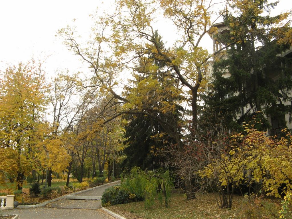 На территории санатория Молдова - Парки в санаториях Одессы