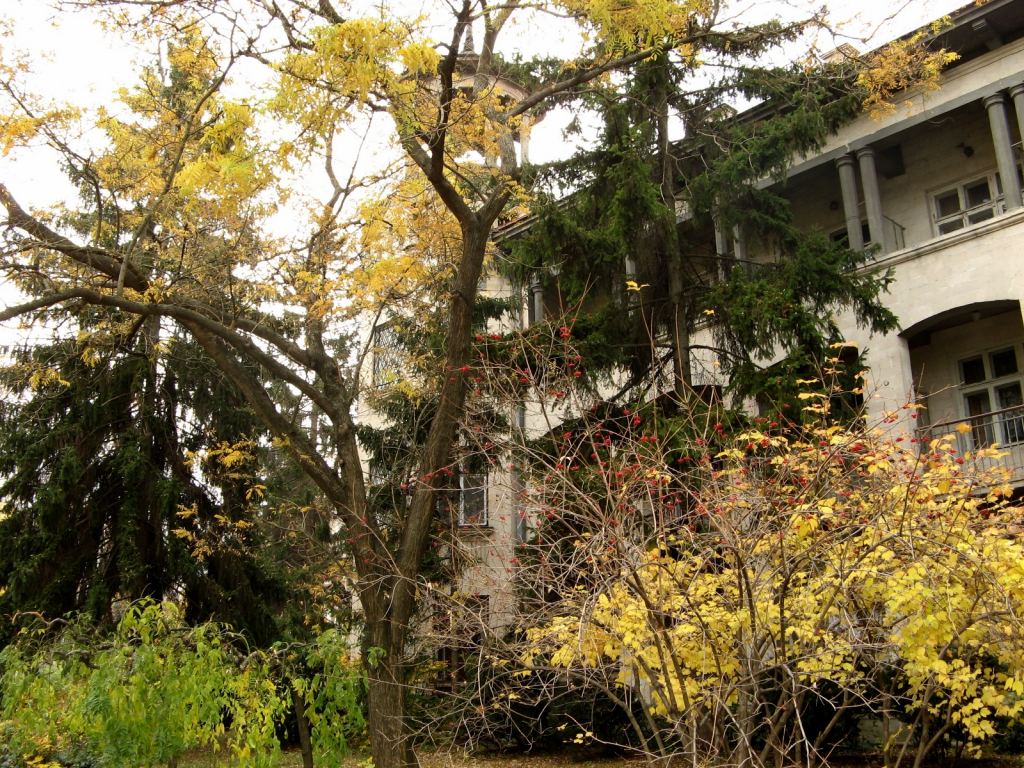 Корпуса санатория Молдова - Парки в санаториях Одессы