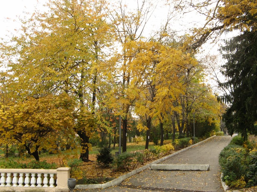 Аллейка в санатории Молдова - Парки в санаториях Одессы