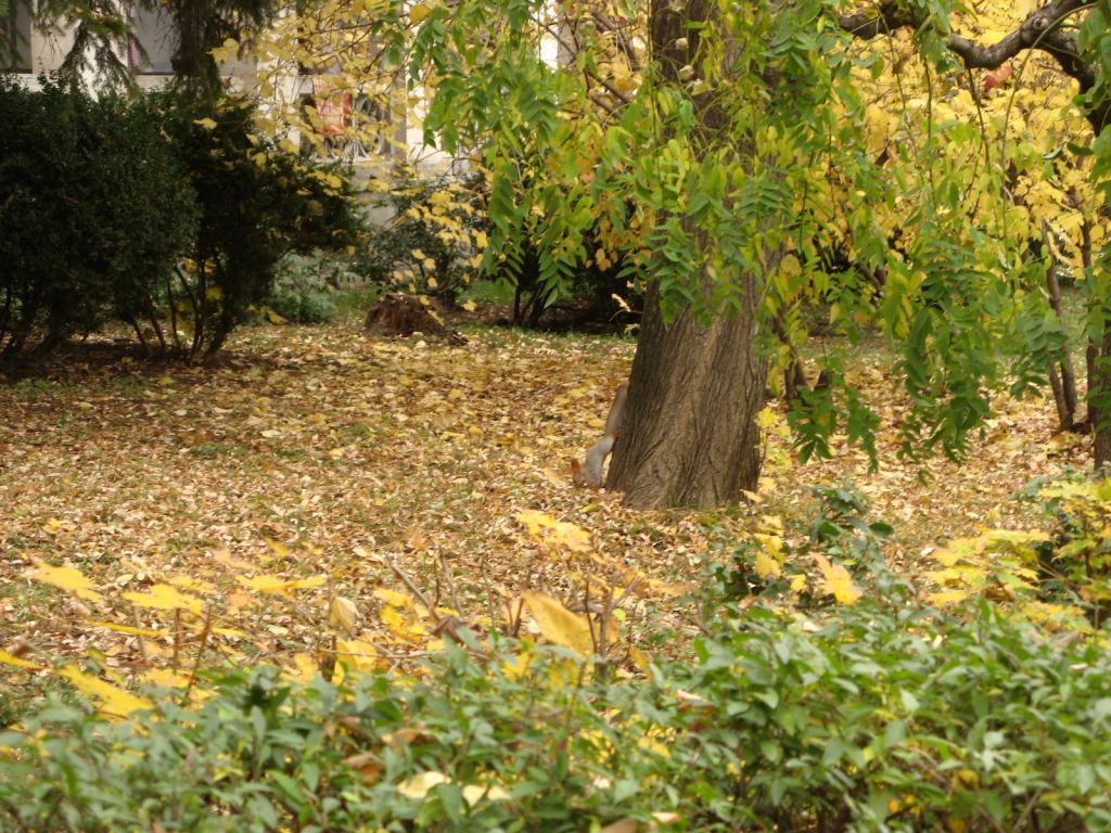 Красивая осень - Парки в санаториях Одессы