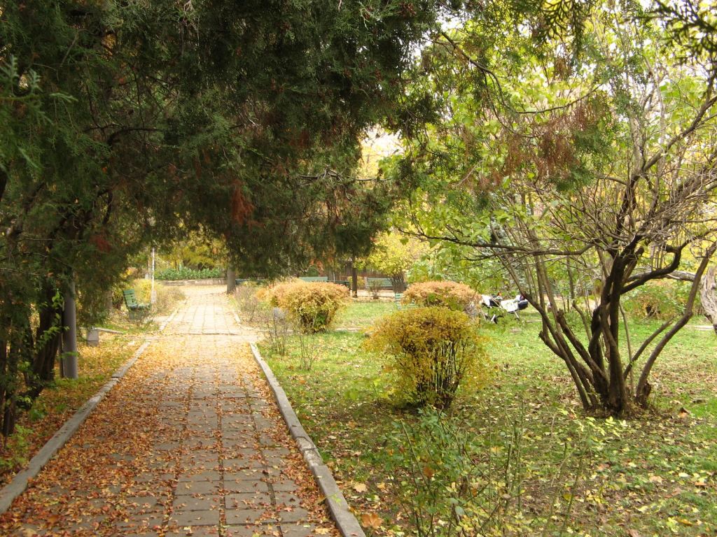 Фото 23 - Парки в санаториях Одессы