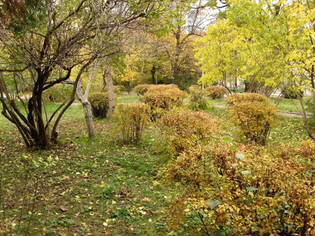 Фото 24 - Парки в санаториях Одессы