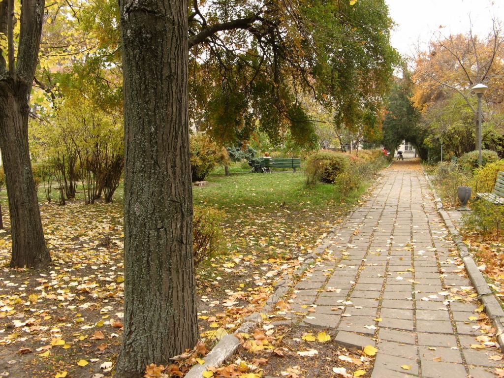 Фото 26 - Парки в санаториях Одессы