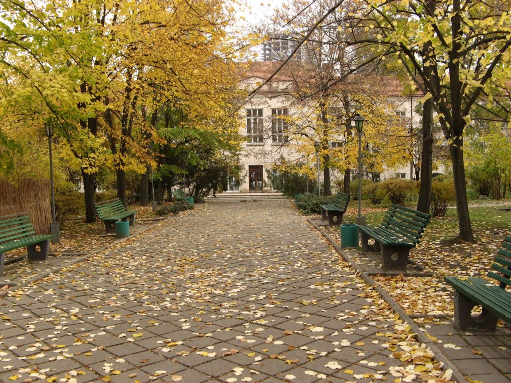 Главная аллея в парке санатория Молдова - Парки в санаториях Одессы