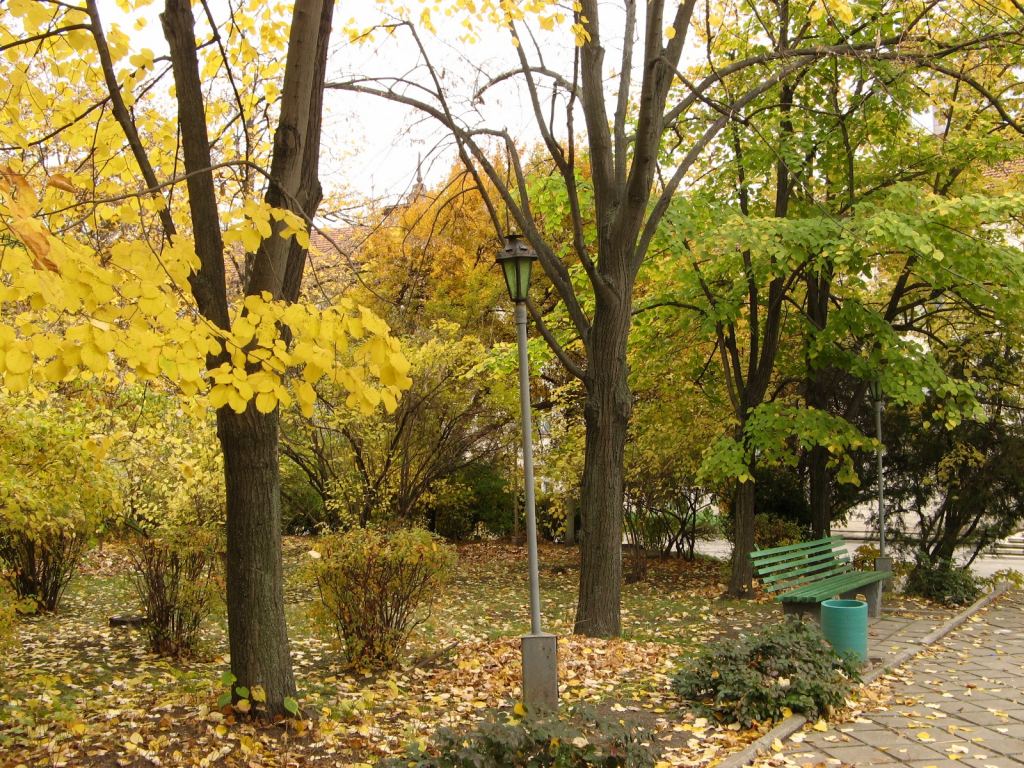 Фото 28 - Парки в санаториях Одессы