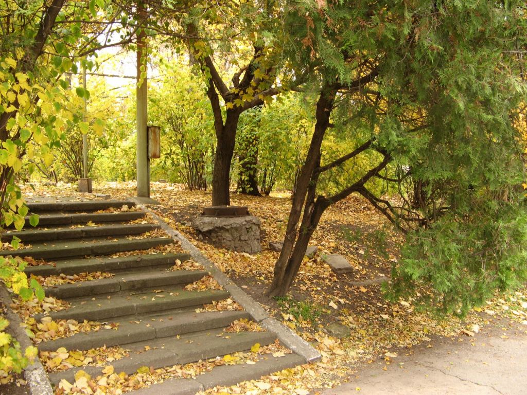 И эта лесенка в "Молдове" - Парки в санаториях Одессы