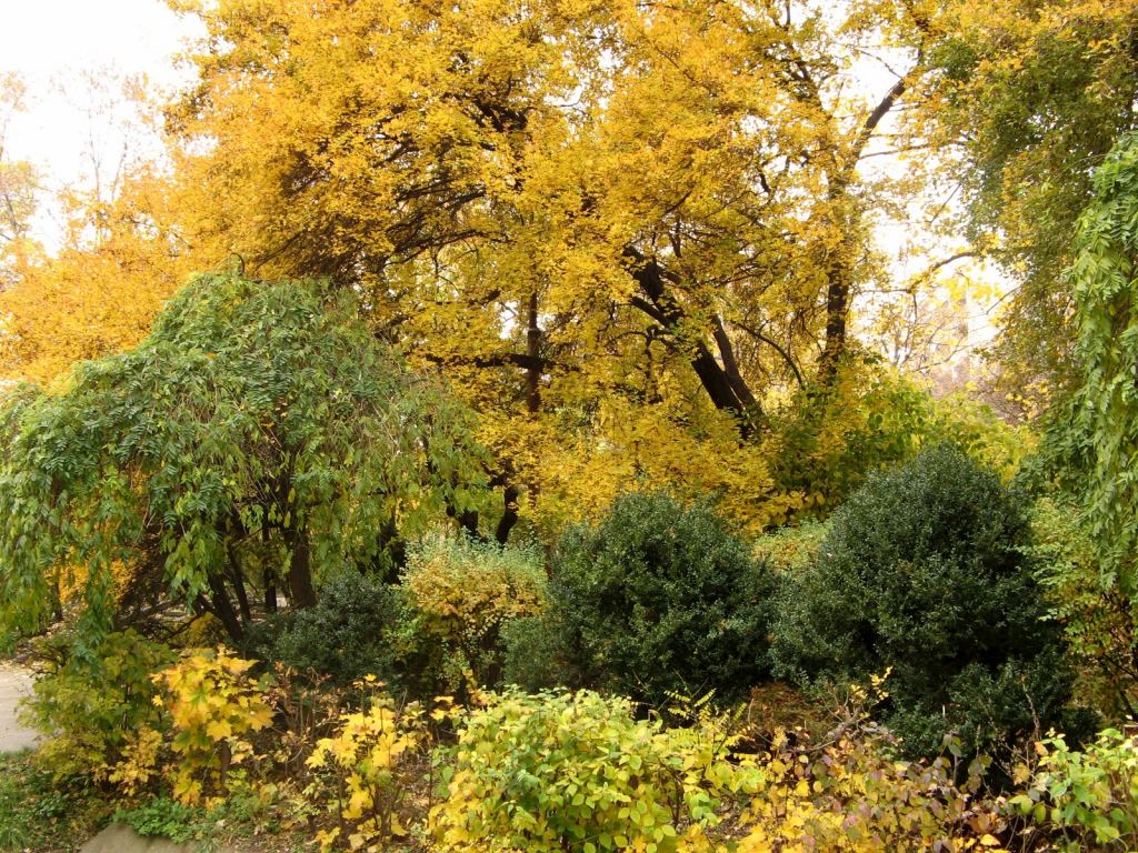 Парк однозначно задумывался как ландшафтный - Парки в санаториях Одессы