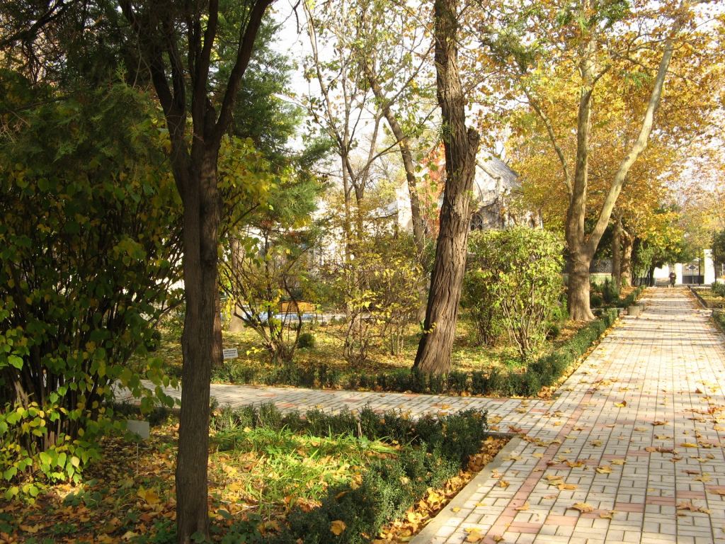 Аллея к административному корпусу - Парки в санаториях Одессы