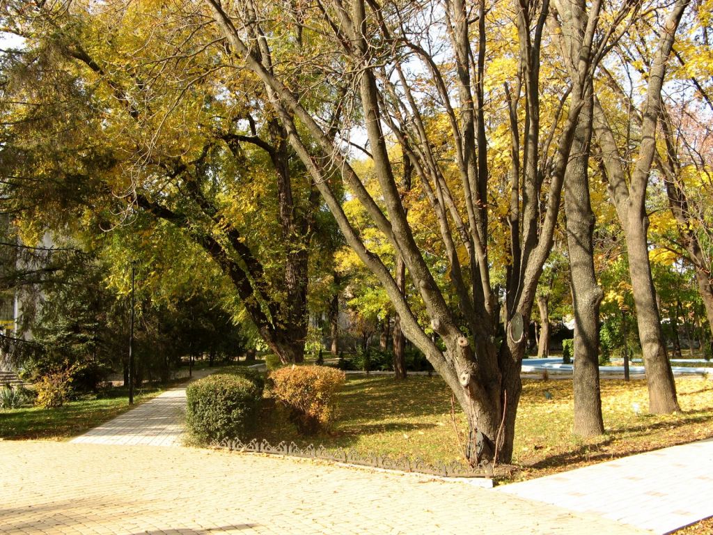 Фото 41 - Парки в санаториях Одессы